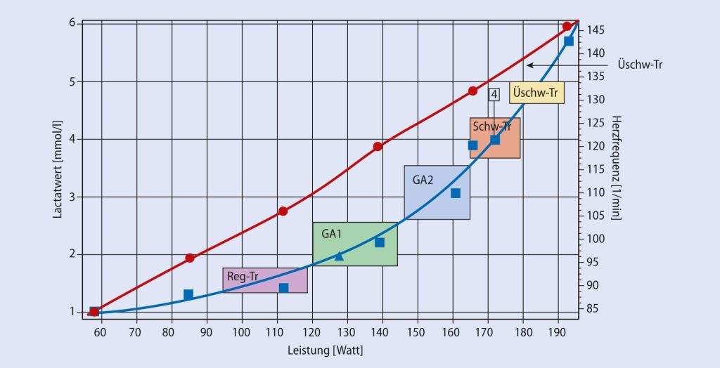 Laktatanalyse mit Trainingsbereichen